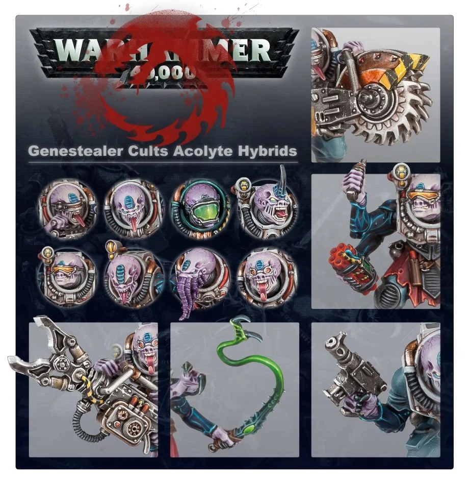 70-60GW Набор Начни Собирать! Культы Генокрадов (Start Collecting! Genestealer Cults)