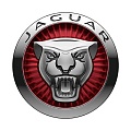 Jaguar Jaguar